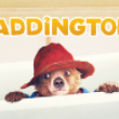 Paddington image